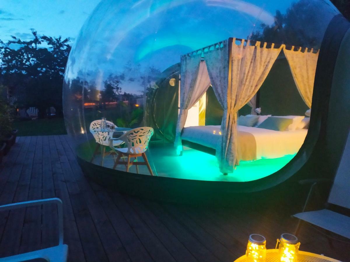 Remanso De Trasfontao Casa Das Arbores & Bubble Silleda Bagian luar foto