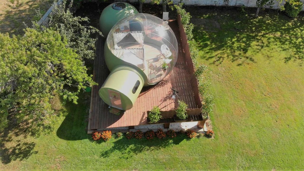 Remanso De Trasfontao Casa Das Arbores & Bubble Silleda Bagian luar foto