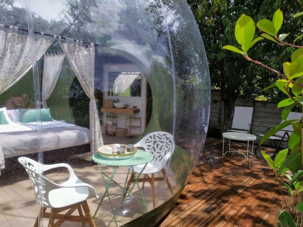 Remanso De Trasfontao Casa Das Arbores & Bubble Silleda Bagian luar foto